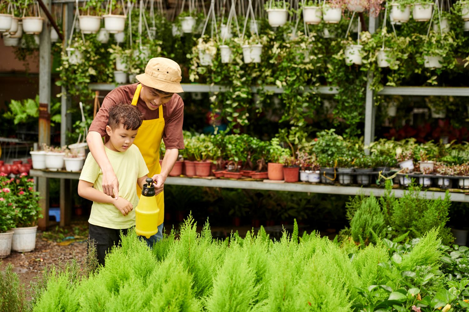 Choosing and Buying Plants