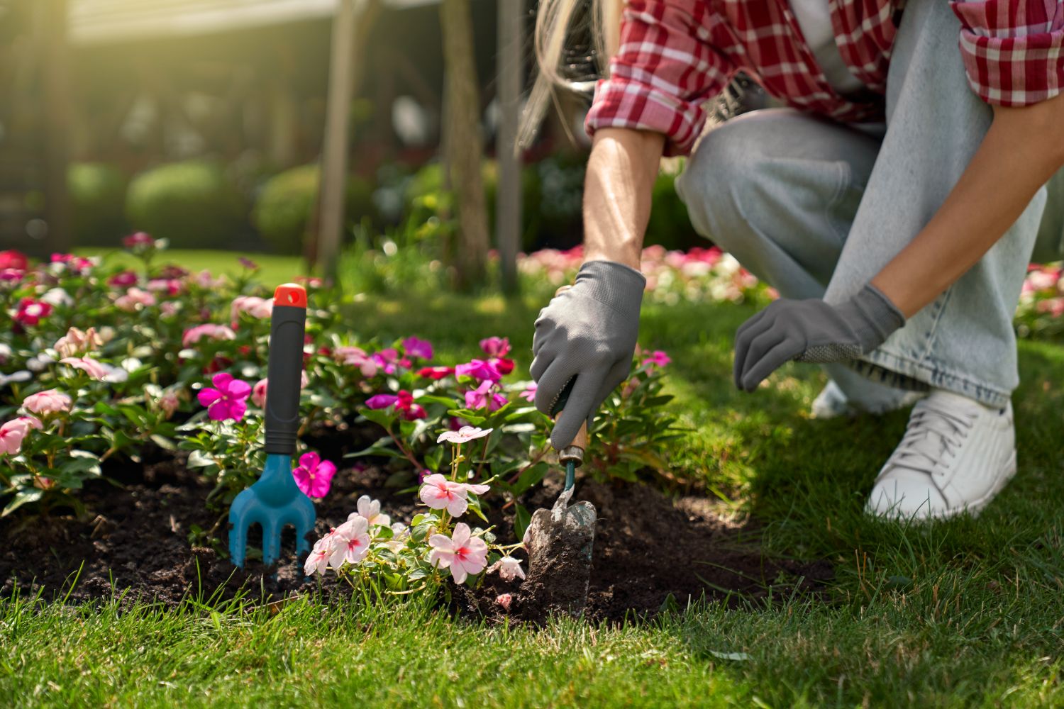 Creating a Beautiful Garden