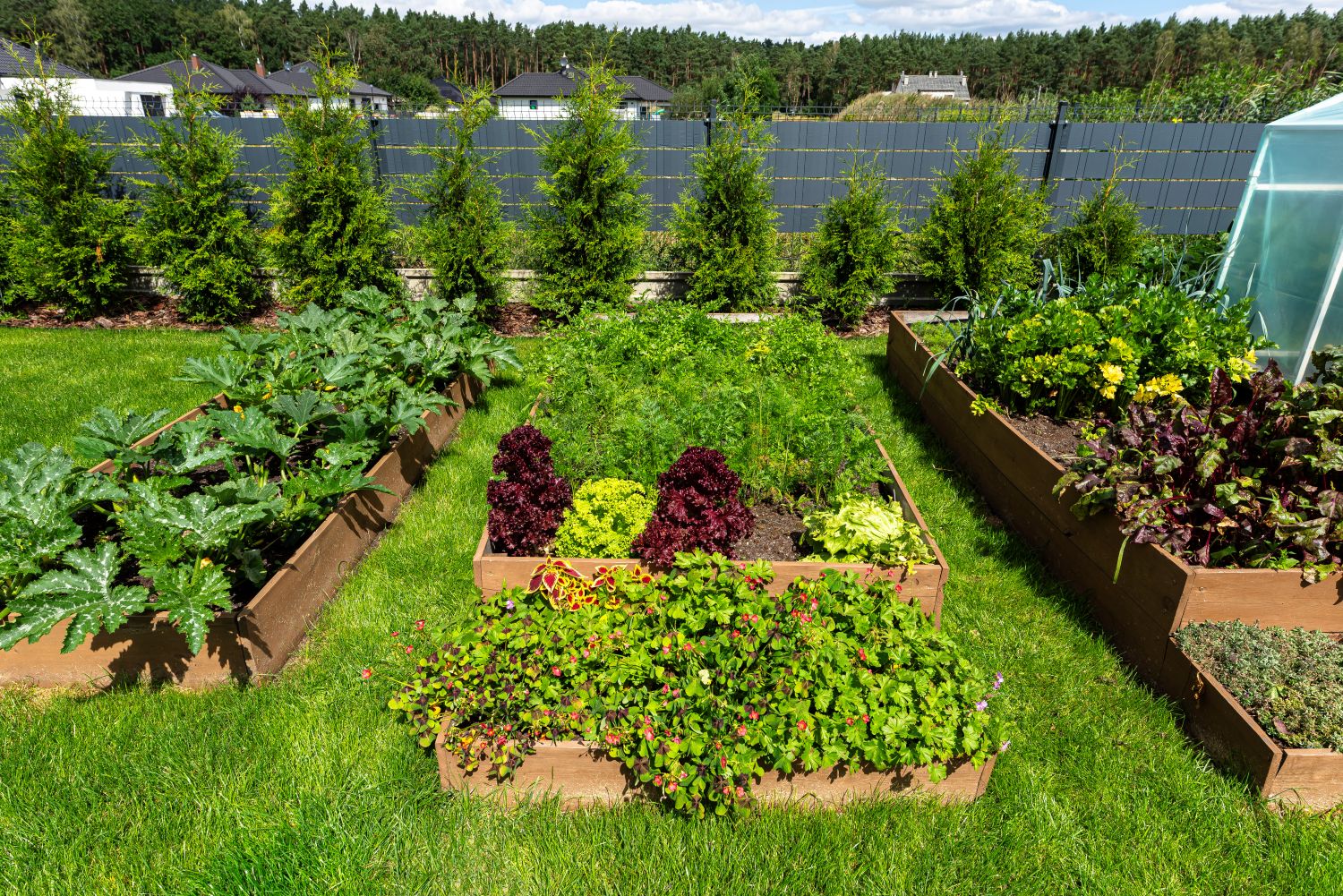 Organized garden layout