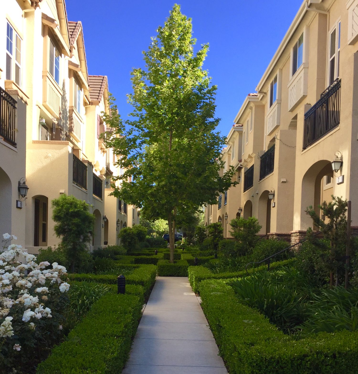 Townhouse landscaping